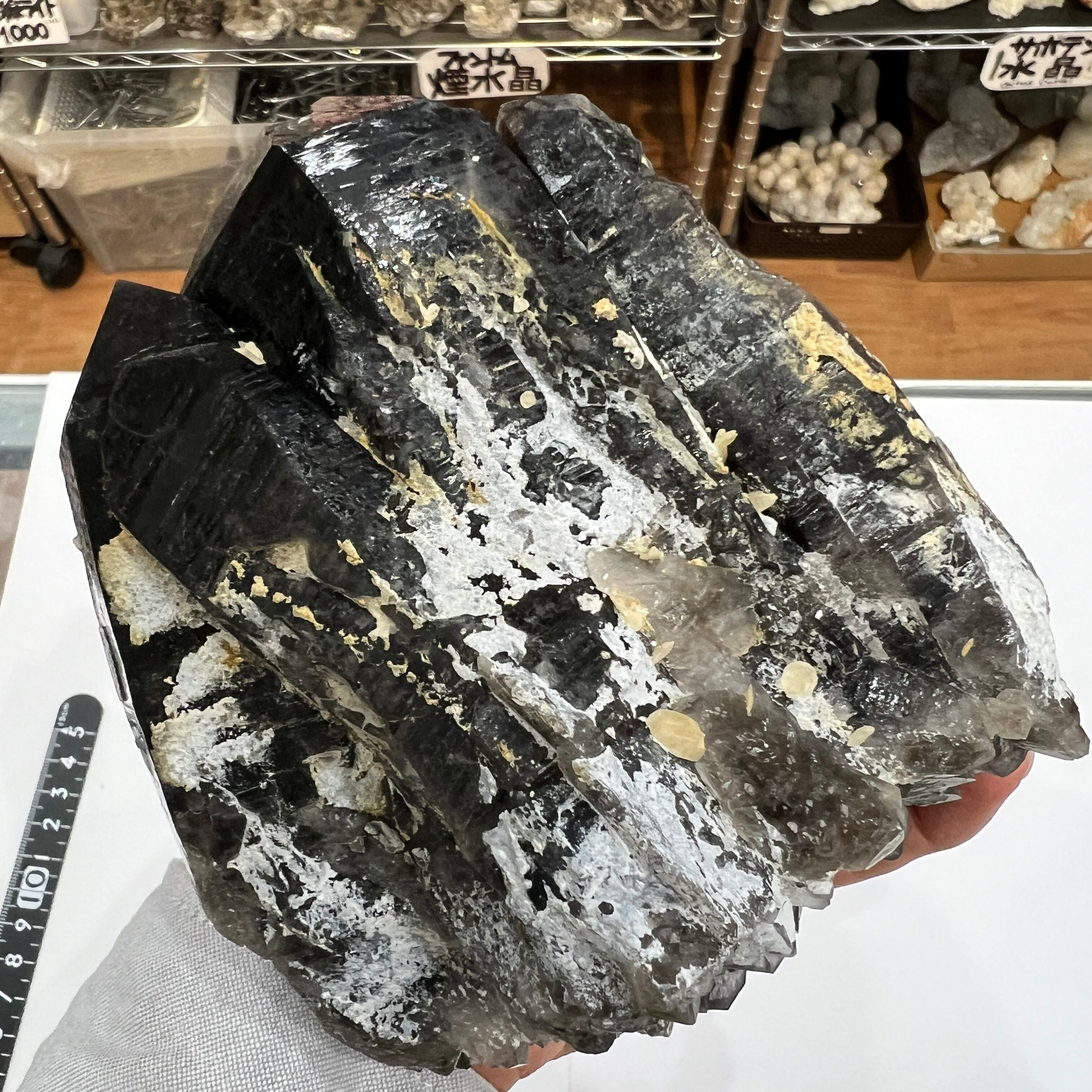 国産鉱物 原石 石 自然石 玉髄 瑪瑙 碧玉 蛋白石 珪化木 出雲石