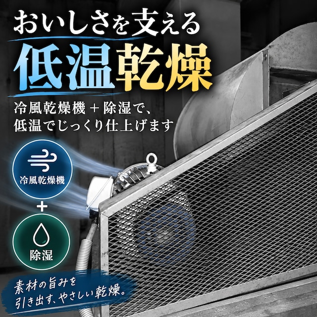 干ほたるいか15ｇ｜ 5袋セット｜肝の旨みを楽しむ無添加おつまみ｜北陸福井つまみーる