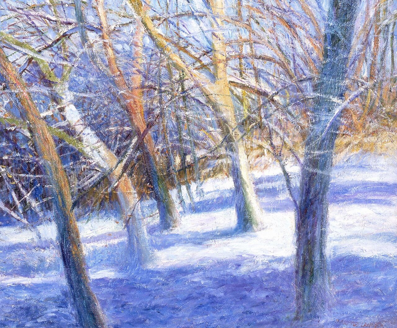 朝の輝き | Bright Sunshine Woodland Snow