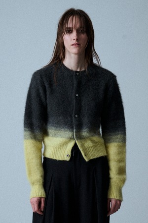 Gradation Knit Cardigan / ｸﾗﾃﾞｰｼｮﾝﾆｯﾄ / U734-K05-603