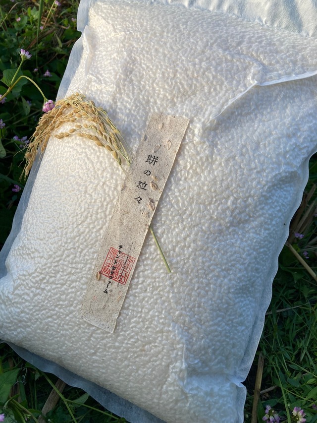 【2023年産新米】もち米（ 新羽二重・無農薬・無化学肥料）30kg　「餅の粒々」送料別