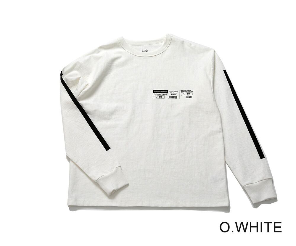 デュアルボイス DUAL VOICE リバースプレーティング天竺プリント長袖(D21W-P11D)全3色【レターパックプラス可】