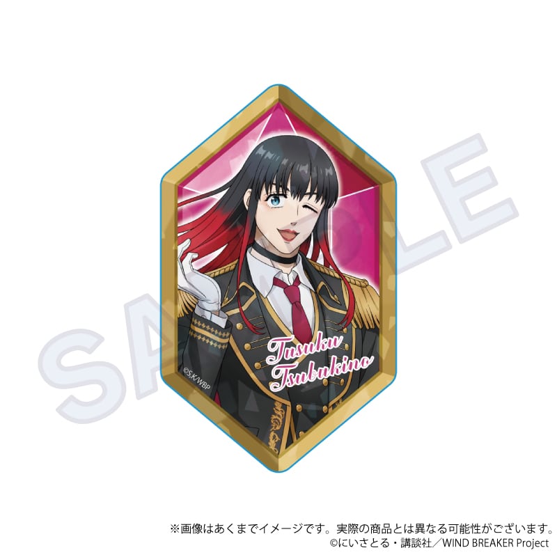 WIND BREAKER トレーディングホログラムアクリルカード 騎士ver. BOX