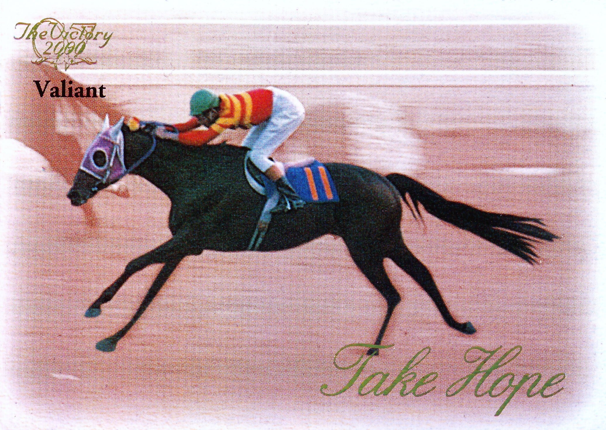 第6回マイルチャンピオンシップ：オグリキャップ(Valiant)「The