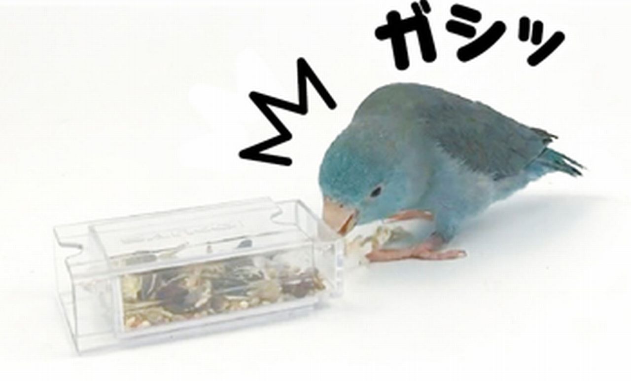 【三晃商会】 フォージングトイ ひっぱりボックス