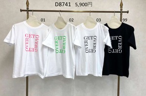 DOSDIOSAS ボックスロゴT ｄ８７４１