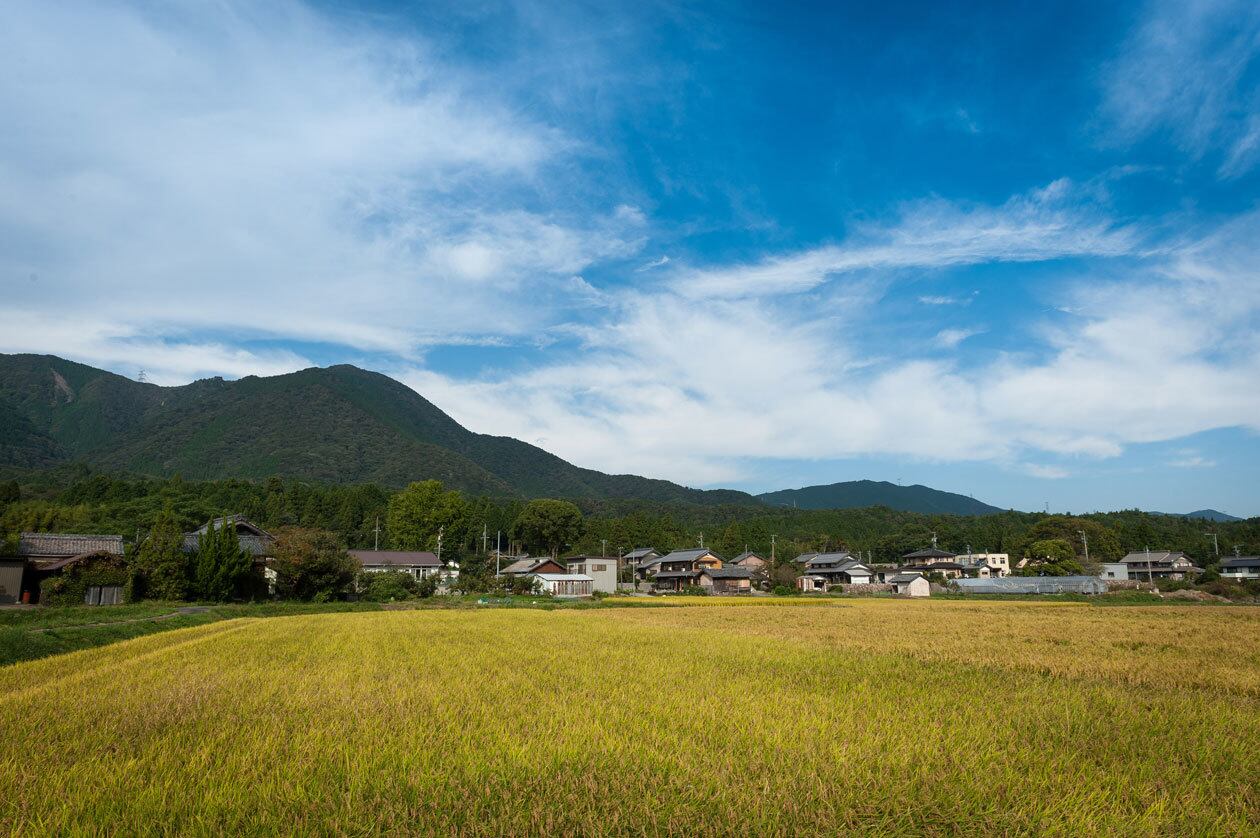 杵つき 草もち 4個入り（簡易箱） | 有限会社 藤原ファーム