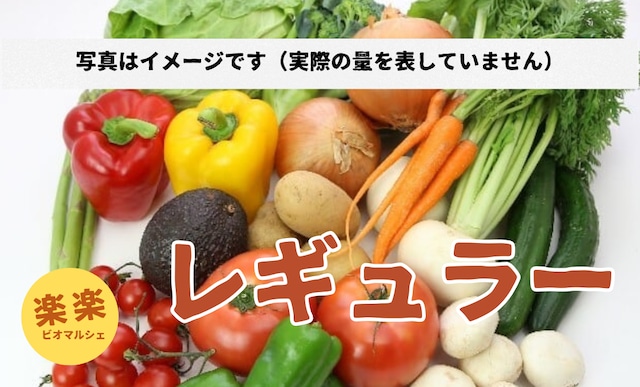 旬のオーガニック野菜セットレギュラーサイズ