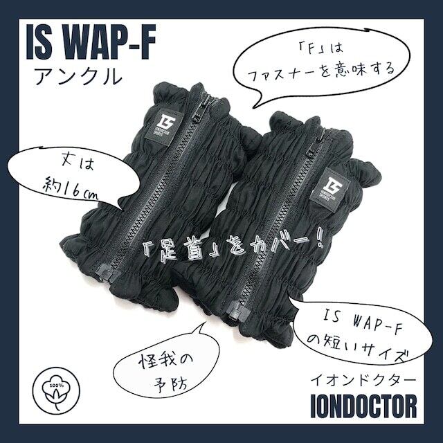 IS WAP-F アンクル
