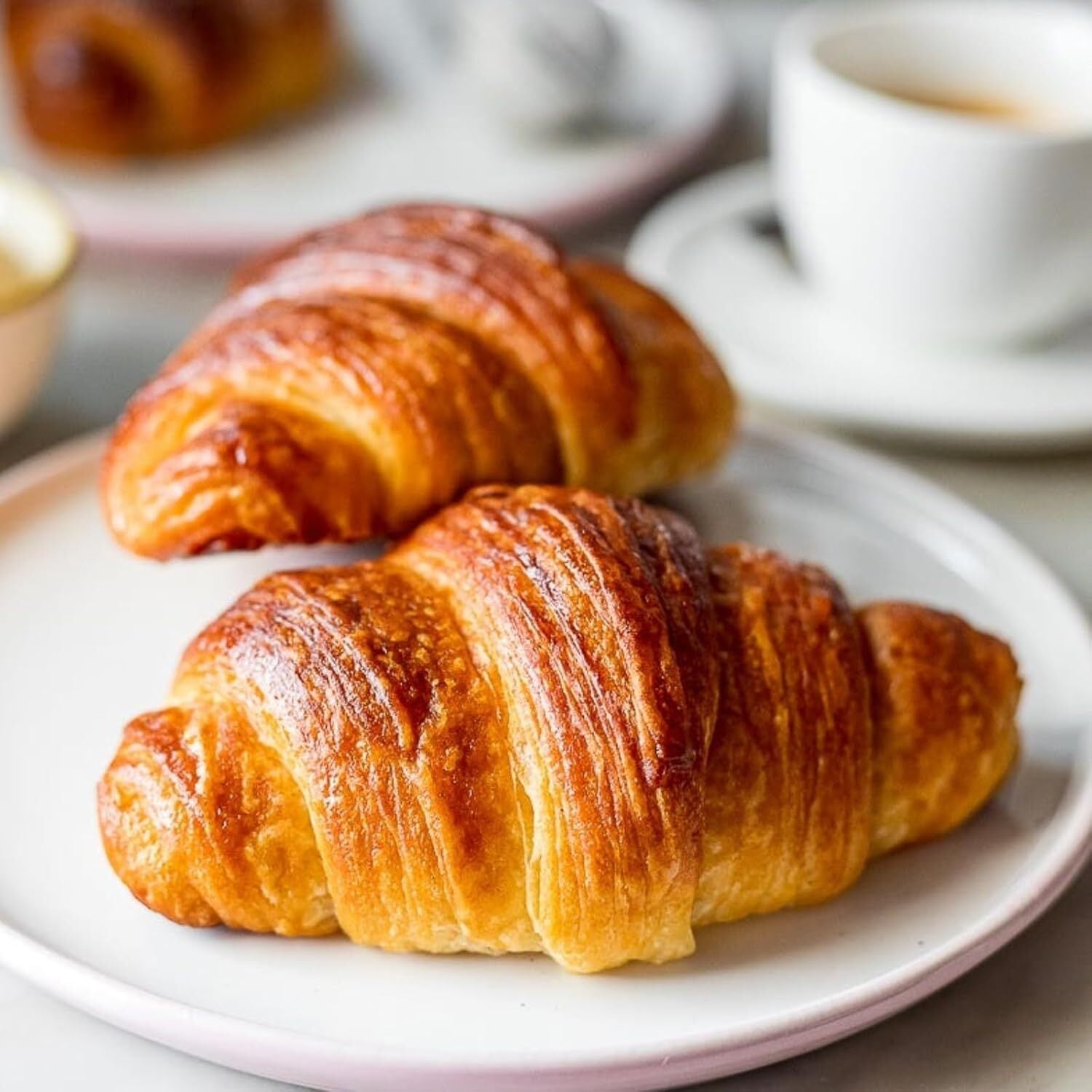 フランス産 ミニクロワッサン 冷凍発酵生地 30g×24個|ファインバター使用|白ワインや軽めのビールにも|Bridor Mini Croissant Eclat du Terroir【Nature Kiosk】