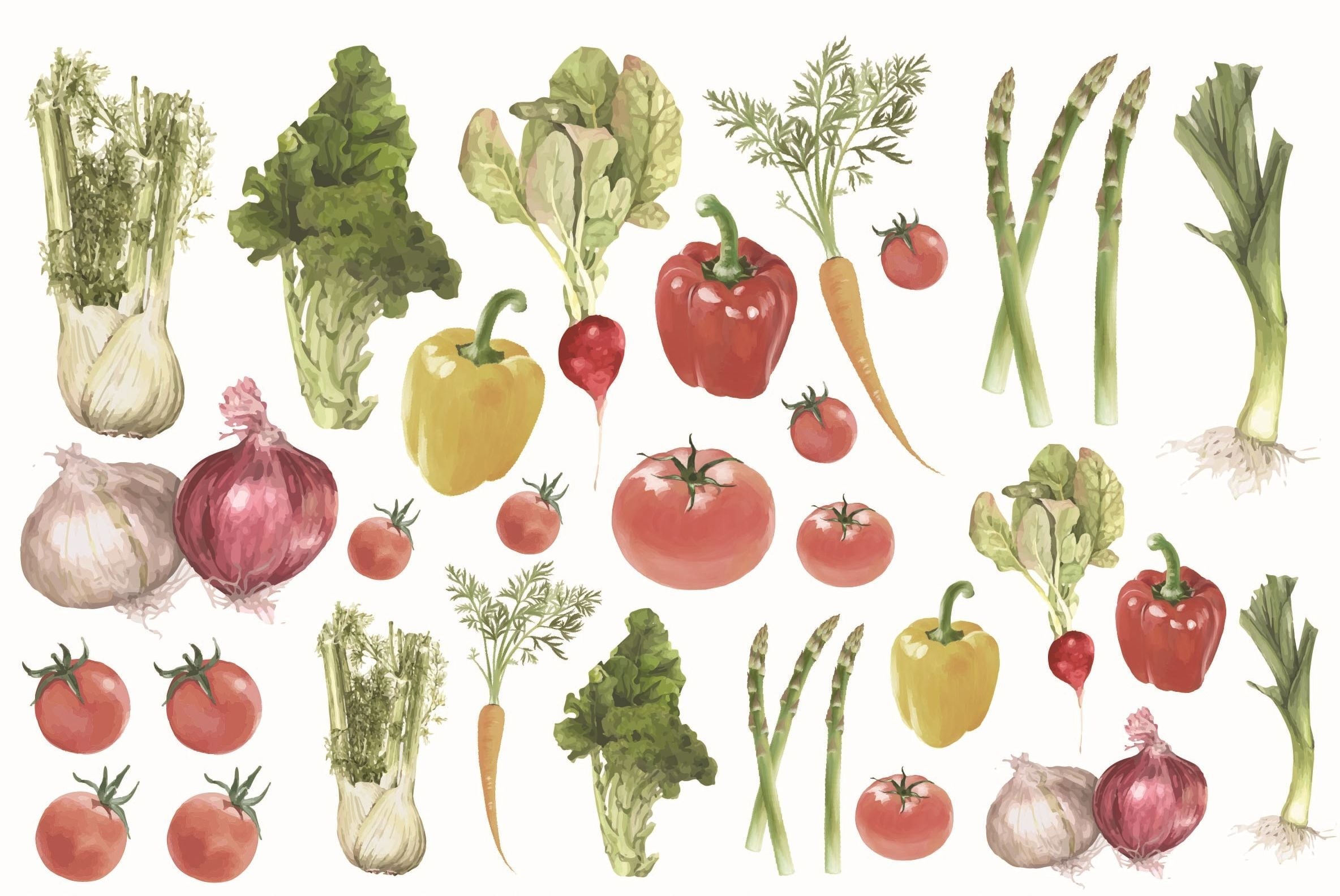 ポーセラーツ転写紙 Vegetables Small A5タイプ