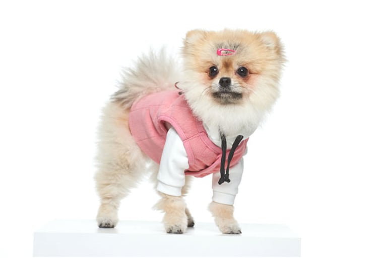 コーデュロイクマちゃんベスト S ~ 2XL 3color  /  犬服 秋冬 新作 ドッグウェア ボアベスト ダウン ベスト 犬 服 アウター 袖なし 小型犬 中型犬 outer24