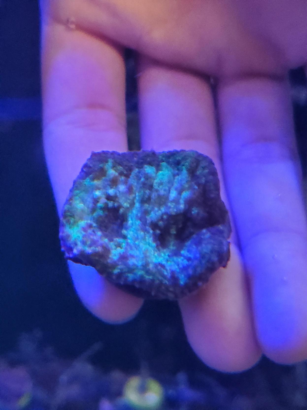 カルカンサイト | Pay ID