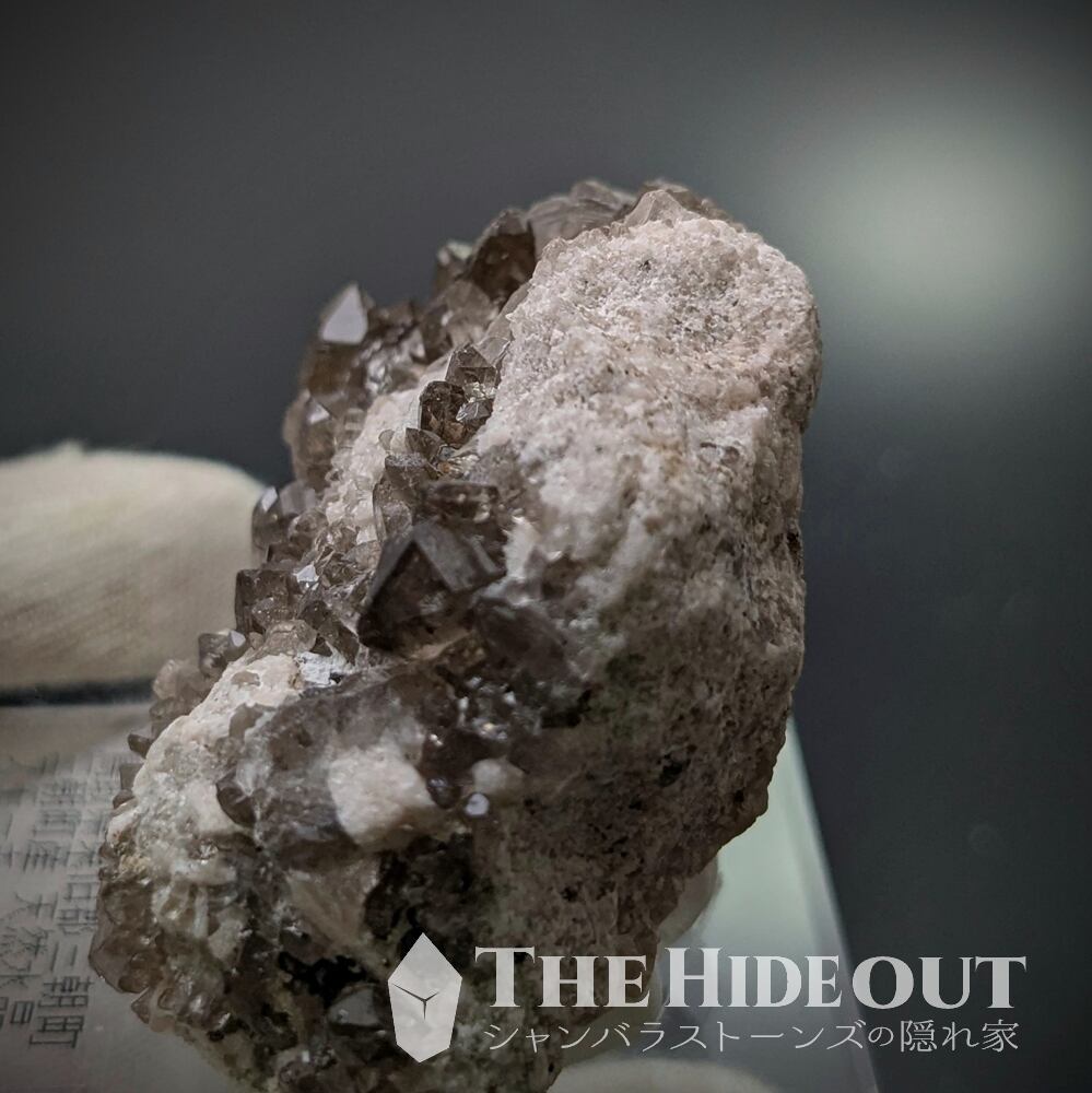 日本国産鉱物標本015 鳥取県三朝町煙水晶（スモーキークォーツ）母岩に