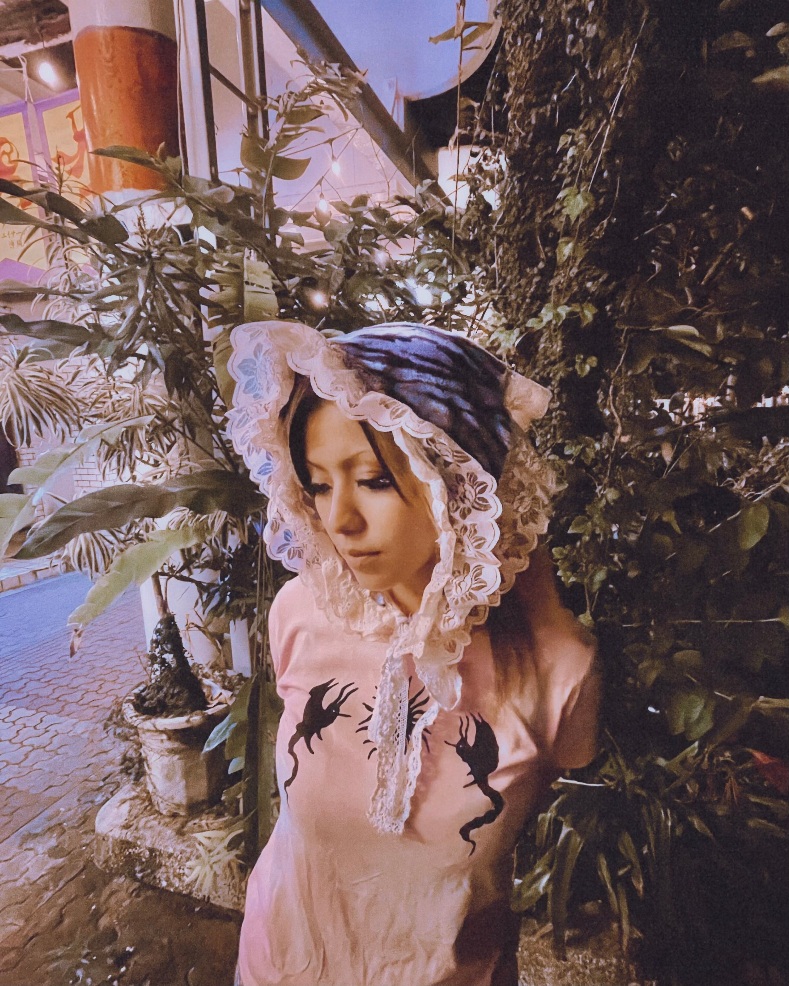 Zebra Babushka-1-