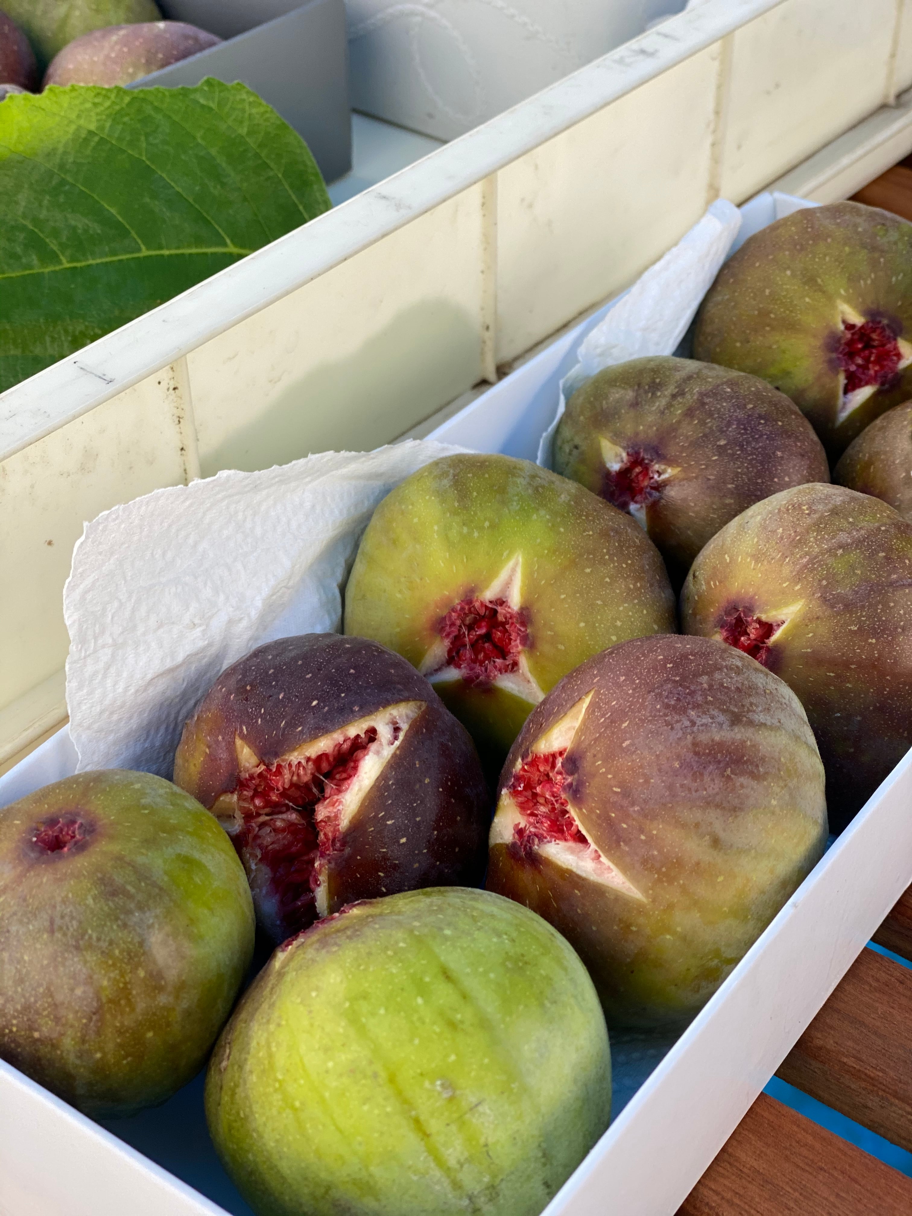 収穫し次第発送】青森産いちじく（蓬莱柿）1kg 送料別 | カシスと