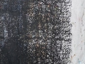 achada fabric a31 (2.4m)