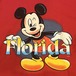90年代製 ミッキーマウス UNLIMITED DISNEY Tシャツ ★【クリックポスト利用で送料無料】
