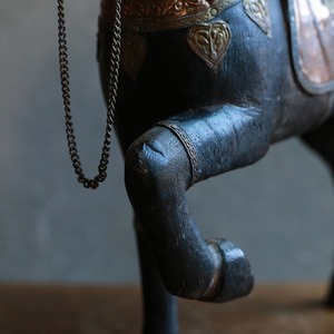 手放したくないほど美しい馬 16