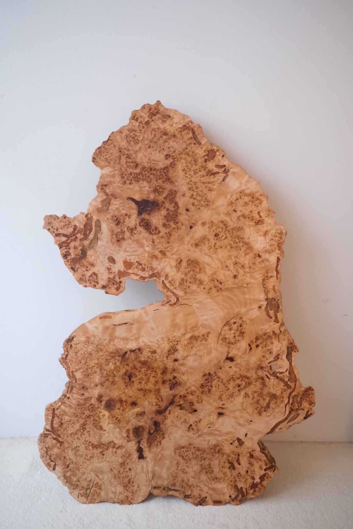 楓 コブあり e18b01890fa041835f7c14122e9d05