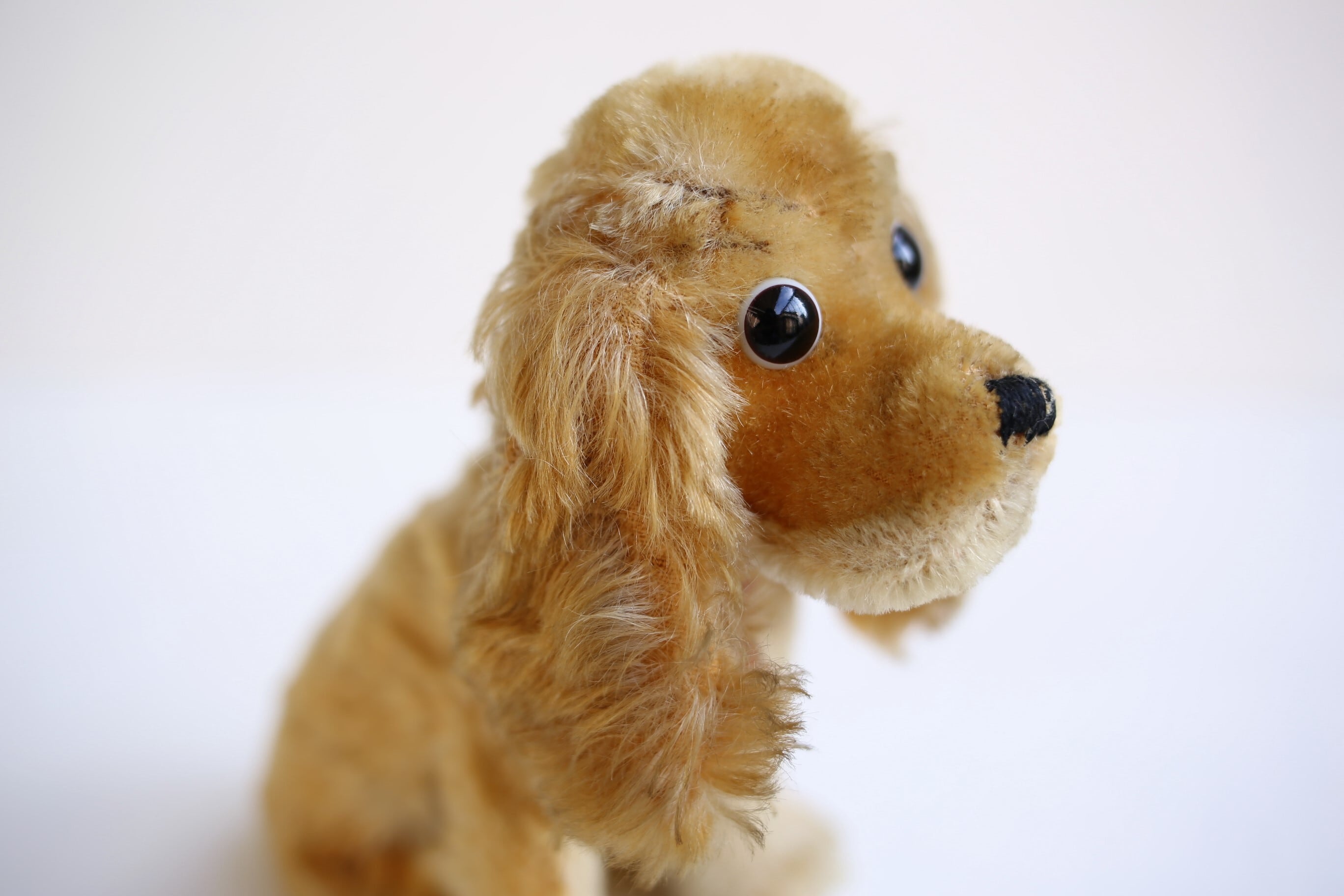 ドイツ ヴィンテージ Steiff シュタイフ コッカースパニエル『REVUE