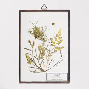 Botanical Frame S36 - Gold