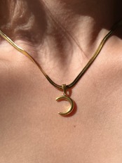 Moon snake necklace