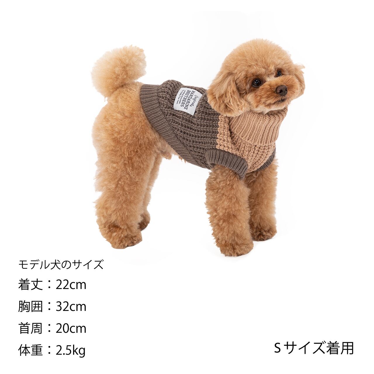 BICOLOR KNIT（M,L） バイカラーニット | MANDARINE BROTHERS