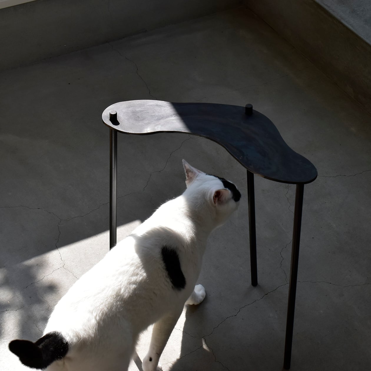 大きな 鉄の トレイ 古道具 アンティーク オブジェ 鉄製トレー 大きな 鉄の トレイ 古道具 アンティーク オブジェ 鉄製トレー