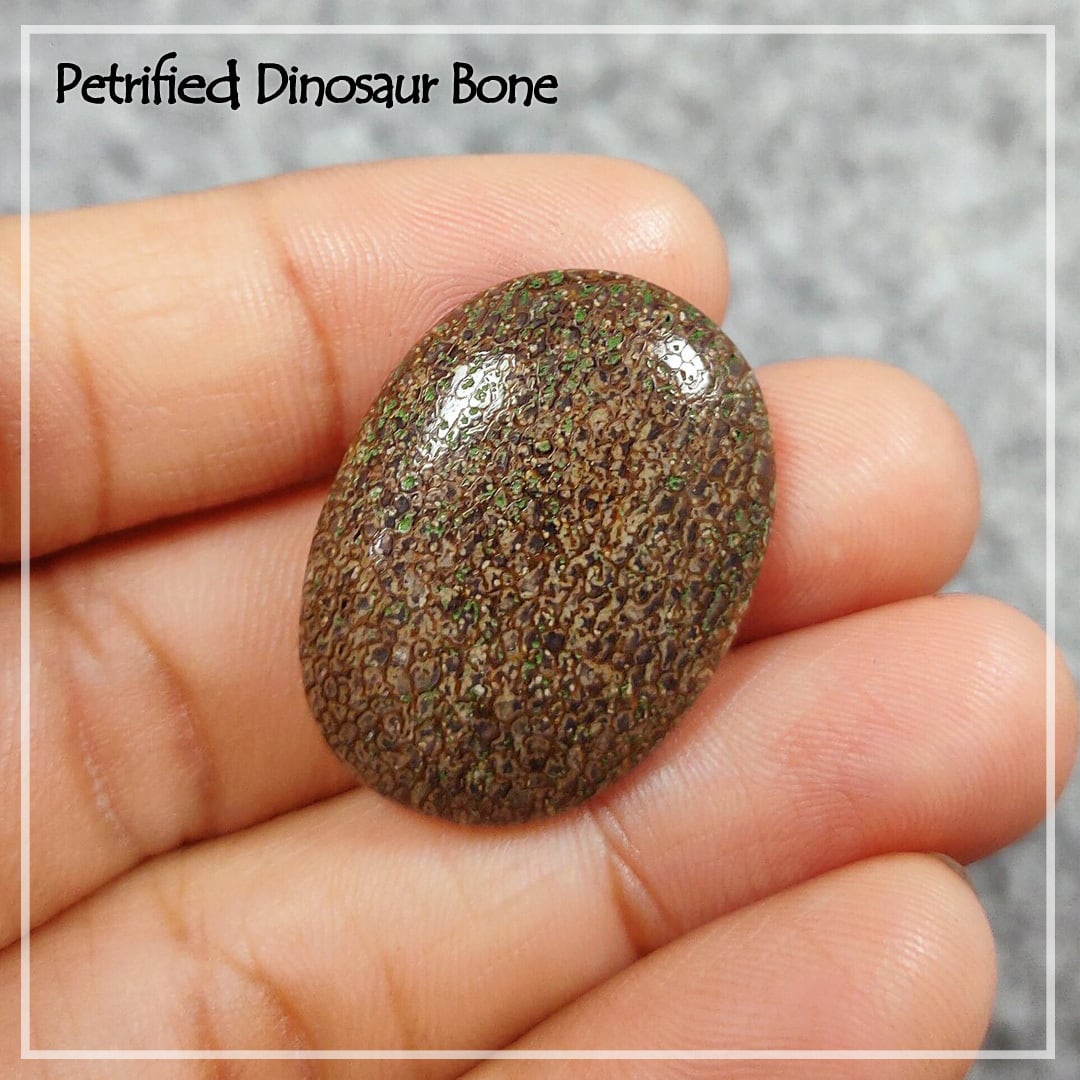 ★レア・龍骨・恐竜化石・27mm×20mm『ペトリファイドダイナソーボーン』ルース(マクラメ編み加工可)