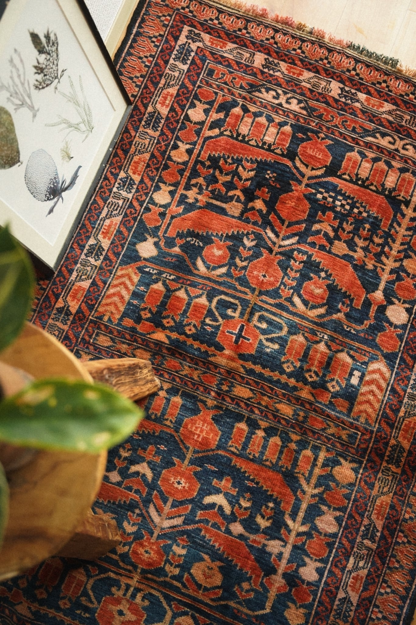 1423-Vintage Turkmen Ali khoja rug