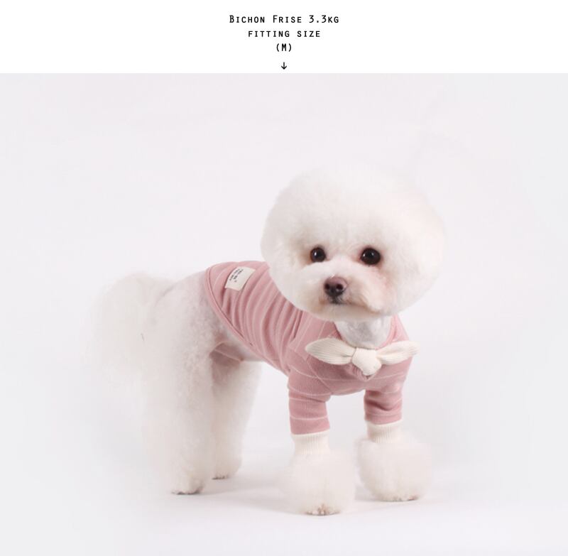 スカーフストライプTシャツ S~XL / 犬の服 犬服 ペット洋服 ドッグウェア ペット用品 小型犬 中型犬