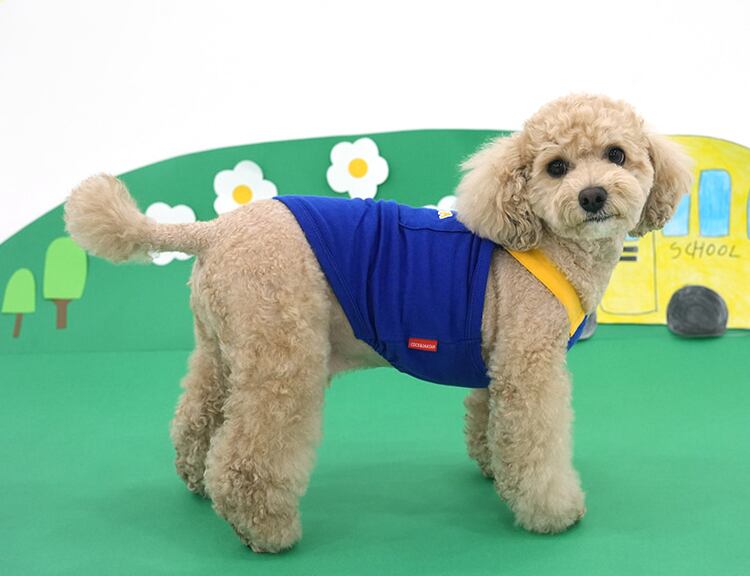 color shoulder t-shirt S ~ XL 2color / 犬服 春夏 新作 Tシャツ ドッグウェア 袖なし 可愛い 犬の服 お揃い オーバーオール トップス　top151