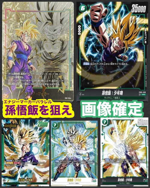 画像確定 ドラゴンボールスーパー フュージョンワールド 15000円 オリパ 全15口