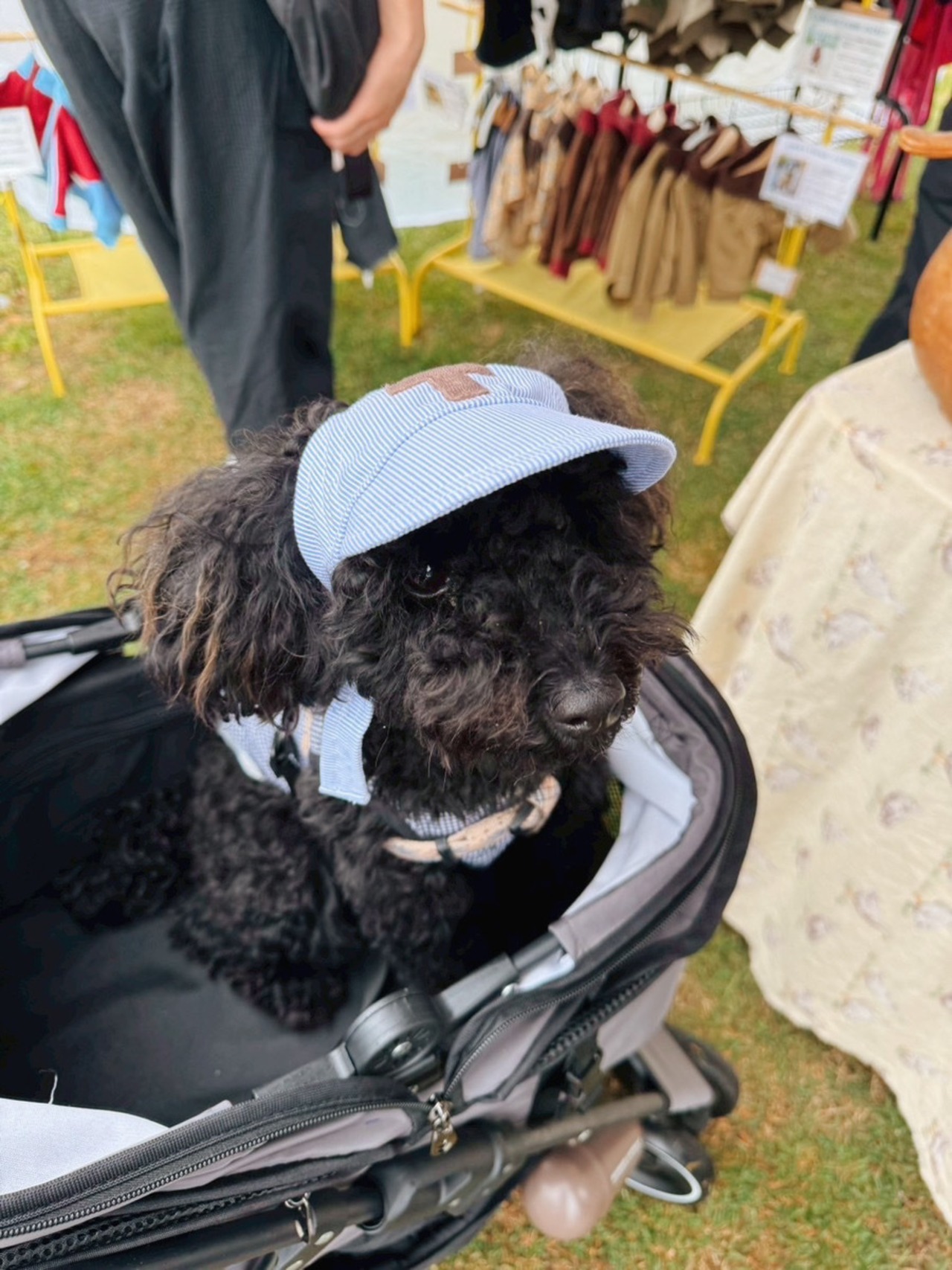 NiceDay Cap（Navy）