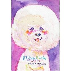 【激レア品】犬　ビションフリーゼ メッセージカード 69]ビションフリーゼ | 長友心平shop