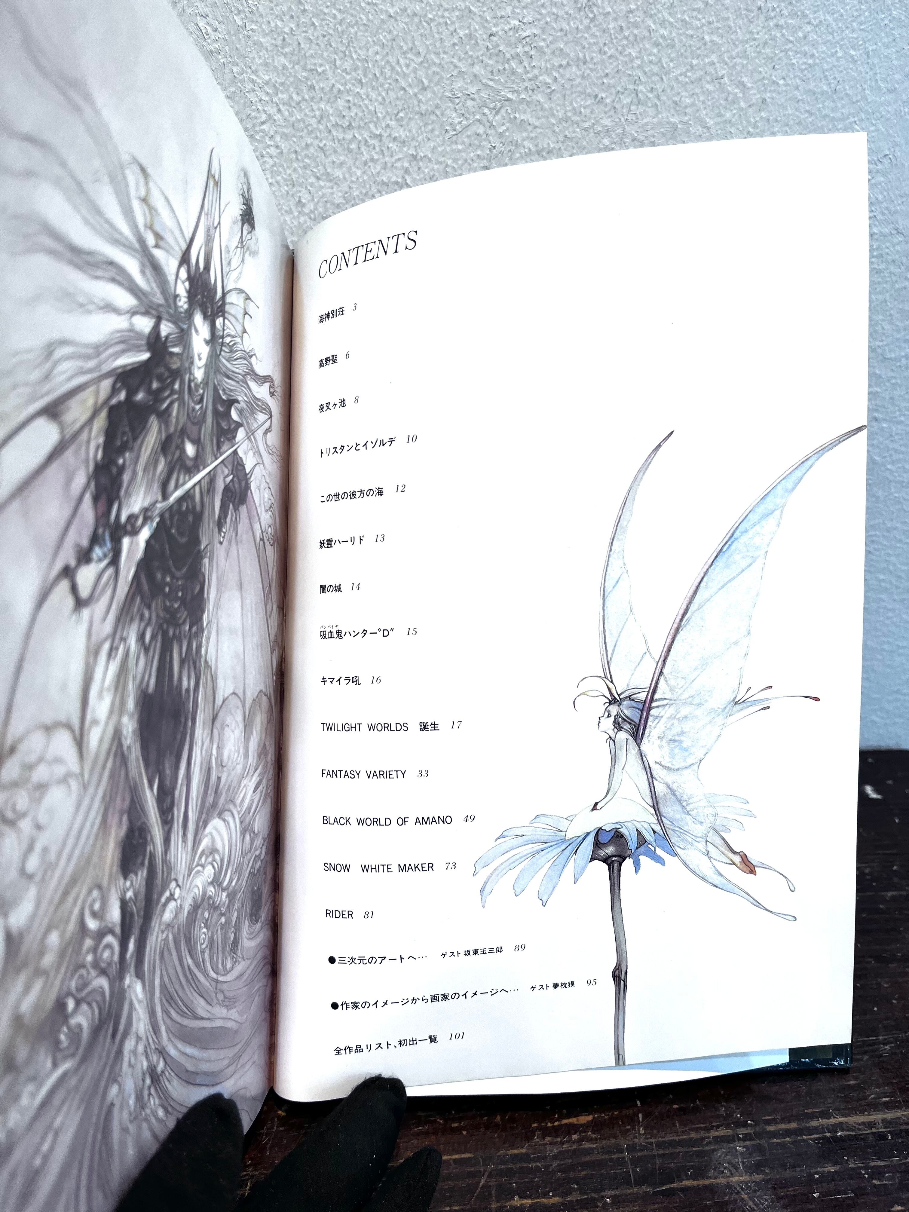 80's 幻夢宮 天野喜孝画集 装幀 宇野亜喜良 | zbooks