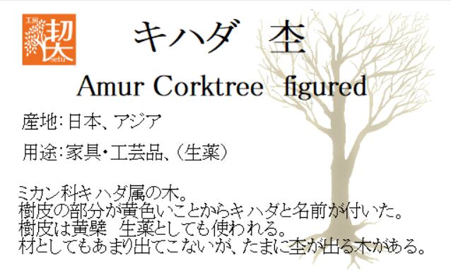 0.5mmペンシル楔 キハダ 杢 6 | 工房 楔（せつ）