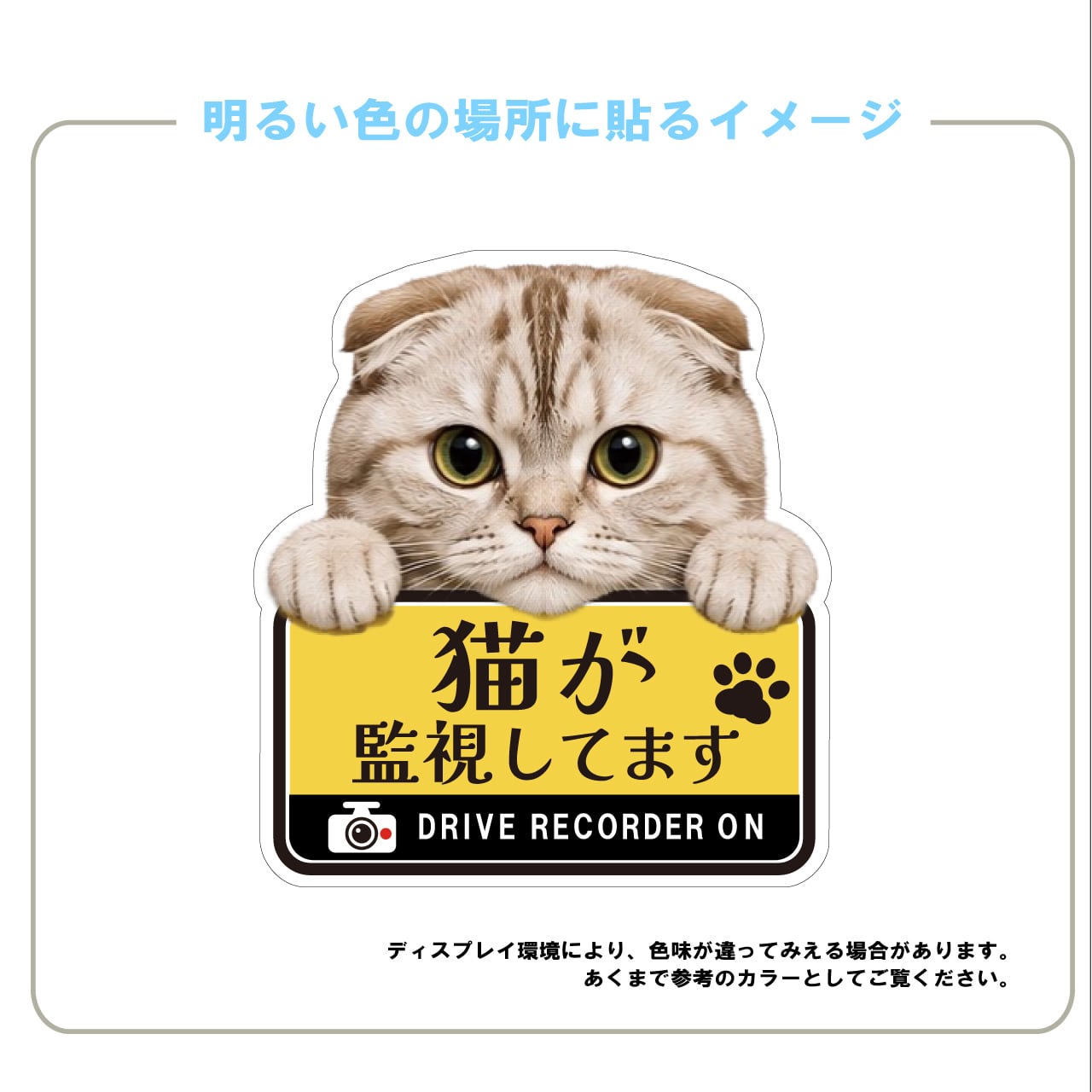 スコティッシュフォールド・スコ・猫・ドライブレコーダー・ドラレコステッカー・撮影中・車・ステッカー・インクジェット印刷・屋外用・猫好き・ドライブグッズ・監視しています・おもしろい・かわいい・肉球