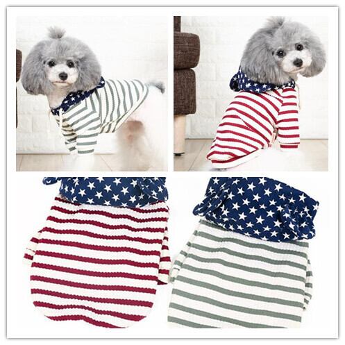 〖予約〗№1102567 スターフード ボーダートップス