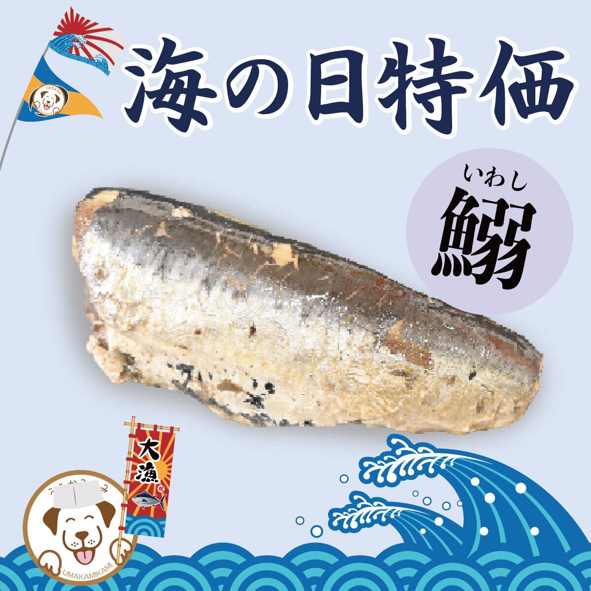 【海の日特価】国産無添加お魚鰯(いわし)1個