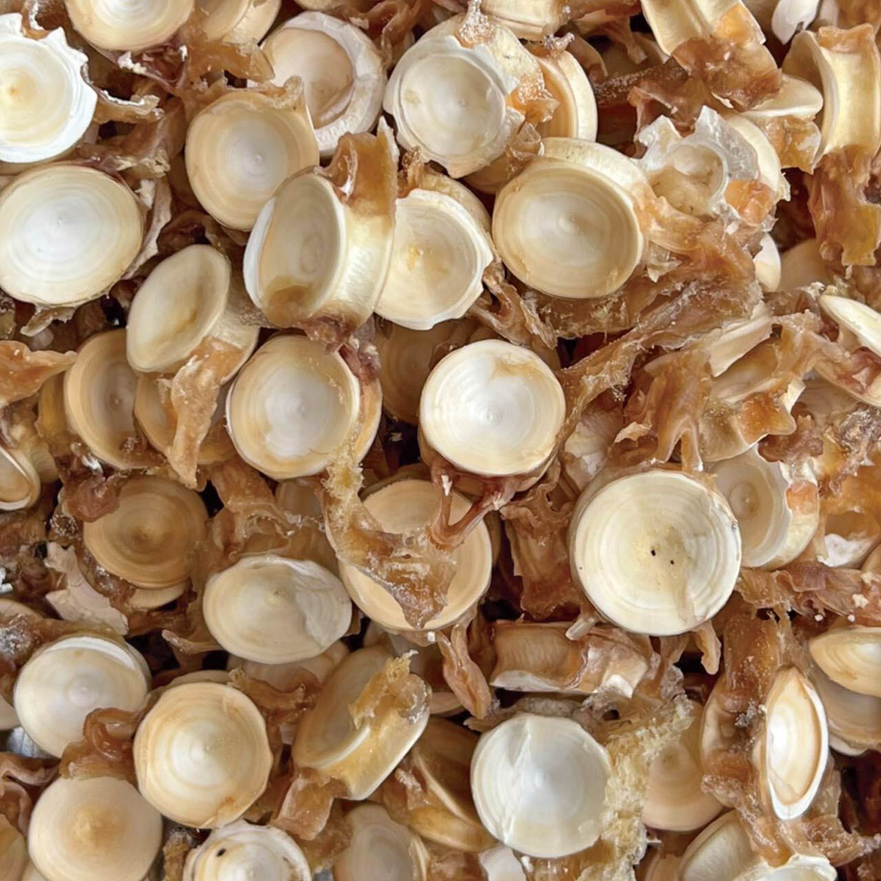 fe1a07fe143be058dd66f3cf2e682e