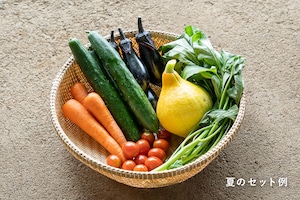 《月1発送》FIO野菜-定期便 Lサイズ