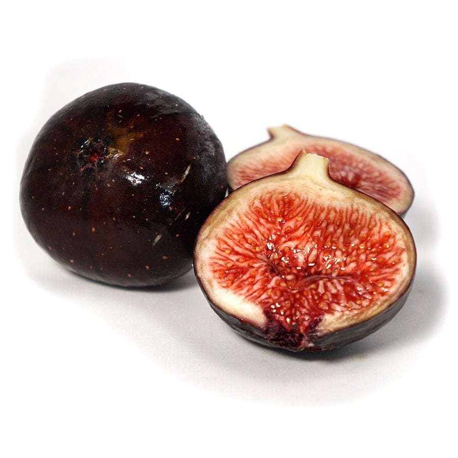 ⭐︎あなたのご自宅へお届けします⭐︎いちじく 5年生株 4年生株 ビオレソリエス 幻の黒イチジク ⭐︎あなたのご自宅へお届けします⭐︎いちじく 5年生株 4年生株