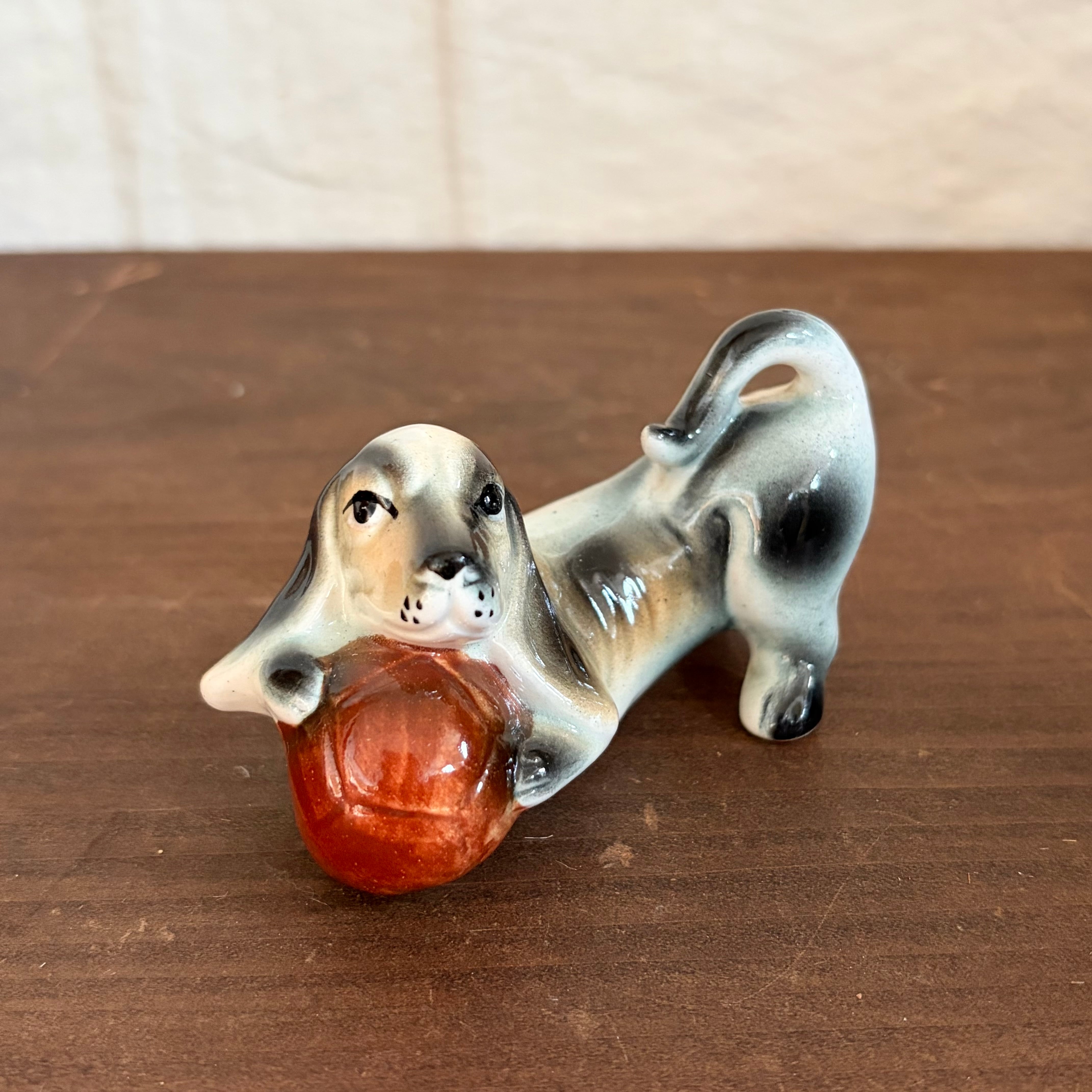 ボール遊び中の犬