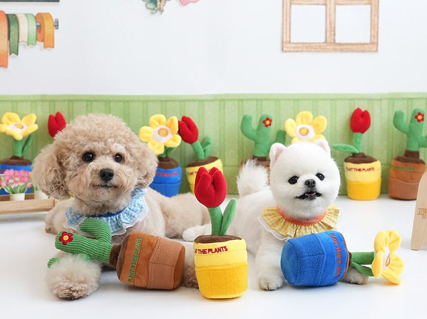 gardening snack toy  / ノーズワーク ペット 犬 おもちゃ 音が鳴る 知育玩具 ノーズワーク おやつ隠し 可愛い わんちゃん ストレス解消 インスタ映え