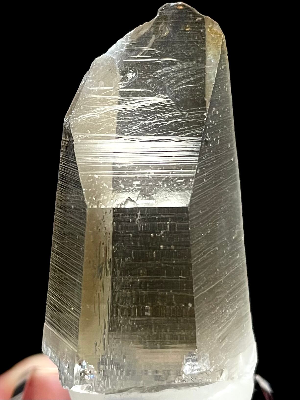 2) ロシアン・レムリアン