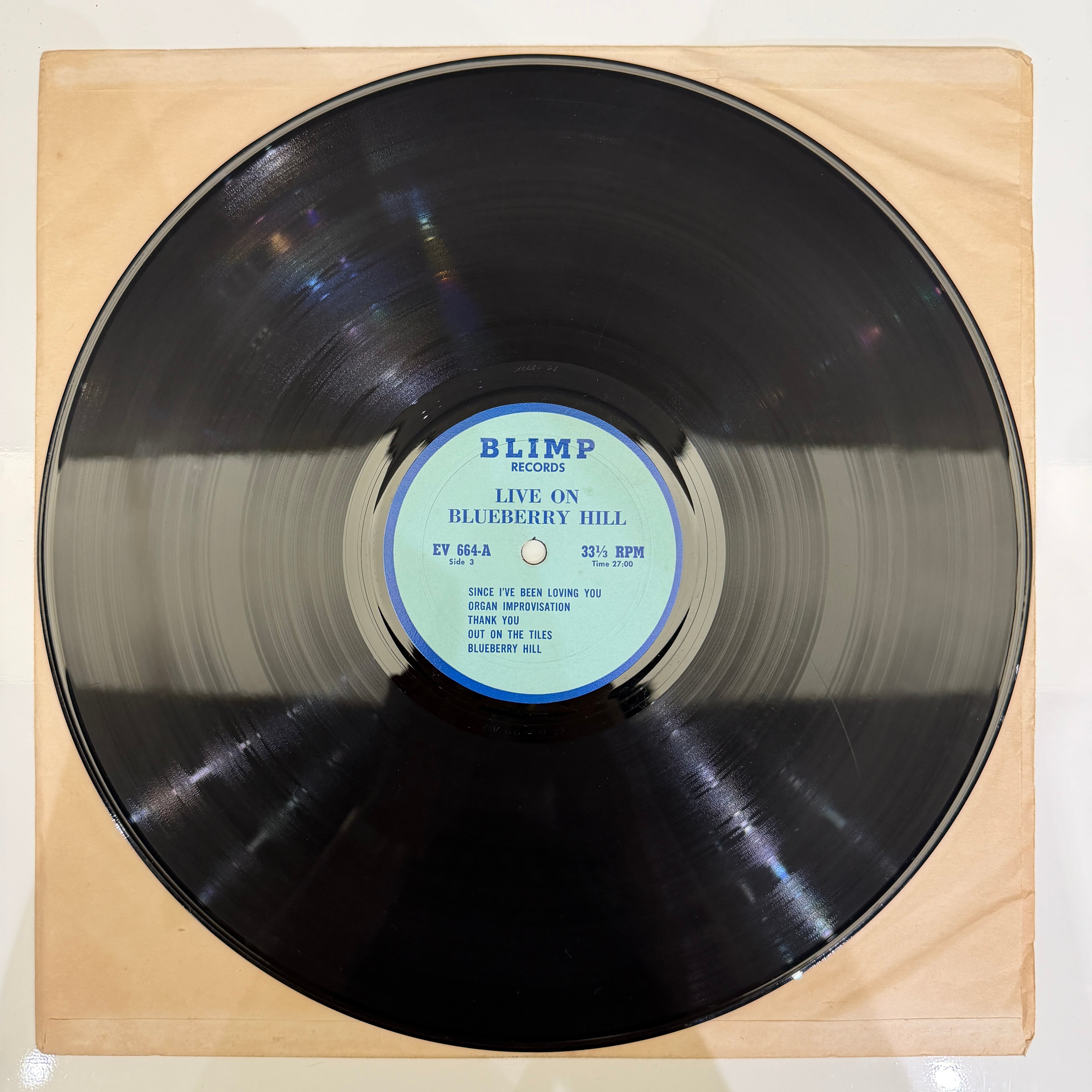 LED ZEPPELIN / Live On Blueberry Hill | 中古レコード通販｜HIPHOP
