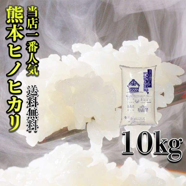 くまもとのお米　送料無料　富田商店　熊本県産　ひのひかり　ヒノヒカリ　新米　くまもとのお米販売店　令和5年産　富田商店一番人気　10kg1個　BASE店　お米　10kg　米　白米