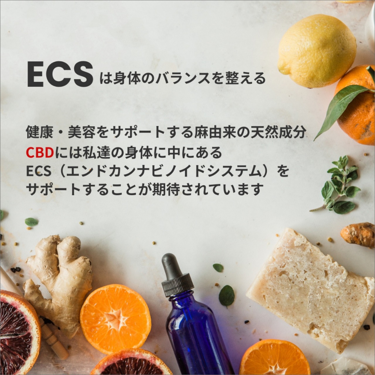 「Entourage Coffee -オールセット- 」2杯分80ml x全種類 4倍希釈 保存料・シリコンフリー